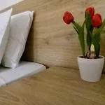 Papadatos Διαμέρισμα Αργοστόλι