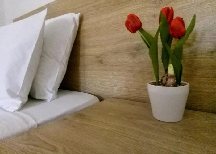 Papadatos 아파트 아르고스톨리온